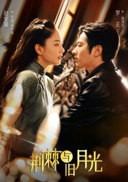 荆棘与旧月光_枫叶短剧聚合网