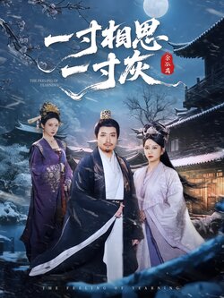 一寸相思一寸灰（郑天阳版）_枫叶短剧聚合网