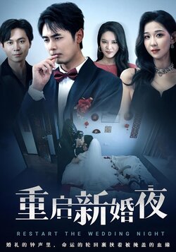 重启新婚夜_枫叶短剧聚合网