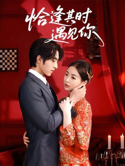 恰逢其时遇见你_枫叶短剧聚合网
