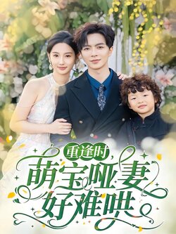 重逢时，萌宝哑妻好难哄