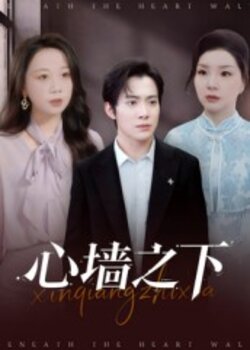 心墙之下_枫叶短剧聚合网