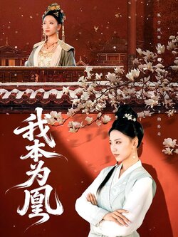 我本为凰_枫叶短剧聚合网