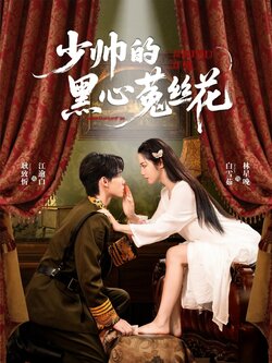 少帅的黑心菟丝花_枫叶短剧聚合网