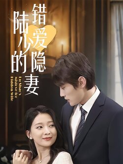 陆少的错爱隐妻