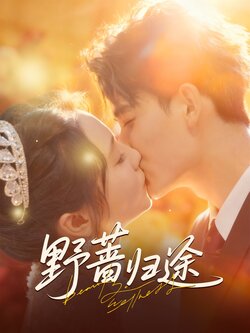 野蔷归途_枫叶短剧聚合网