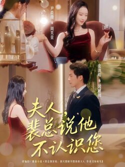 夫人裴总说他不认识您_枫叶短剧聚合网