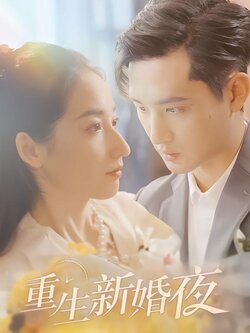 重生新婚夜