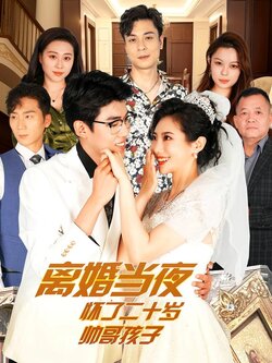 离婚当夜怀了二十岁帅哥孩子