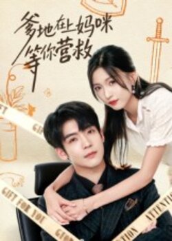 爹地在上妈咪等你营救_枫叶短剧聚合网