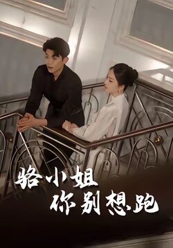 骆小姐你别想跑_枫叶短剧聚合网