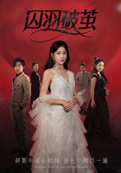 囚羽破茧_枫叶短剧聚合网