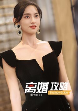离婚攻略_枫叶短剧聚合网