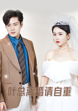 叶总离婚请自重