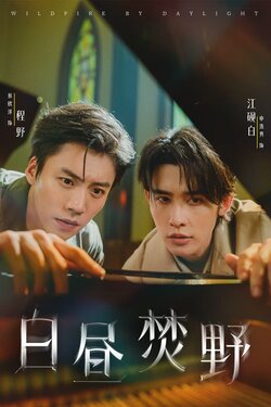 白昼焚野_枫叶短剧聚合网