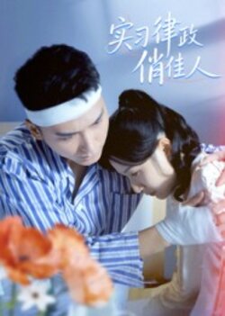 实习律政俏佳人_枫叶短剧聚合网