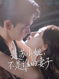 是苏小姐不是谁的妻子_枫叶短剧聚合网