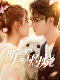 听雪灼烧_枫叶短剧聚合网