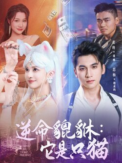 逆命貔貅它是只猫_枫叶短剧聚合网