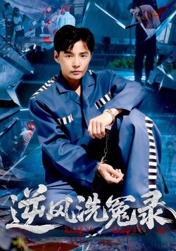 逆风洗冤录_枫叶短剧聚合网