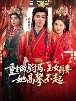 重生做驸马，玉女前妻她高攀不起_枫叶短剧聚合网
