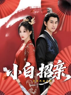 小白招亲_枫叶短剧聚合网