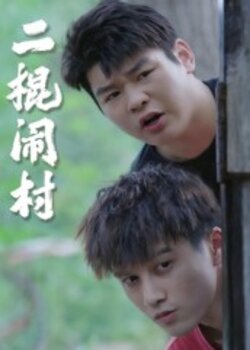 二棍闹村_枫叶短剧聚合网