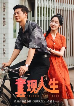 套现人生_枫叶短剧聚合网