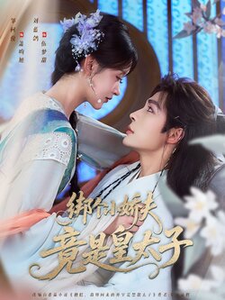 绑个小娇夫竟是皇太子_枫叶短剧聚合网