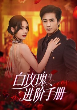 白玫瑰进阶手册_枫叶短剧聚合网