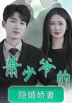 萧少爷的隐婚娇妻
