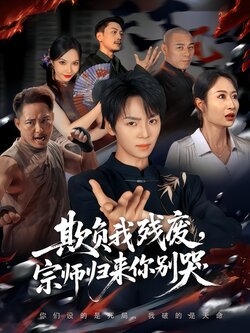 欺负我残废，宗师归来你别哭_枫叶短剧聚合网