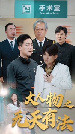 .新大人物之无天有法