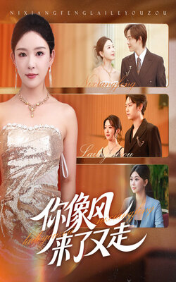 你像风来了又走_枫叶短剧聚合网
