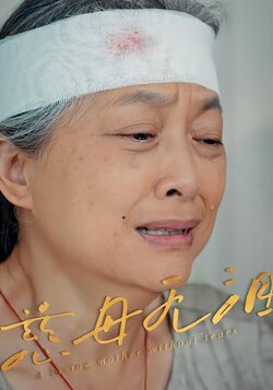 慈母无泪_枫叶短剧聚合网