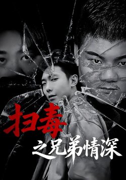 扫毒之兄弟情深_枫叶短剧聚合网