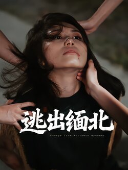 逃出缅北_枫叶短剧聚合网