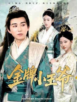 金牌小王爷_枫叶短剧聚合网