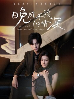 晚风不渡旧情深_枫叶短剧聚合网