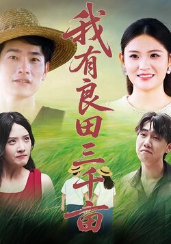 我有良田三千亩_枫叶短剧聚合网