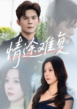 情途难复_枫叶短剧聚合网