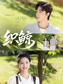 织鲸_枫叶短剧聚合网