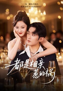 都是相亲惹的祸_枫叶短剧聚合网