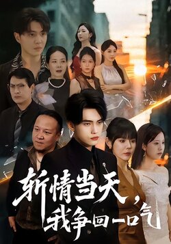 斩情当天，我争回一口气_枫叶短剧聚合网