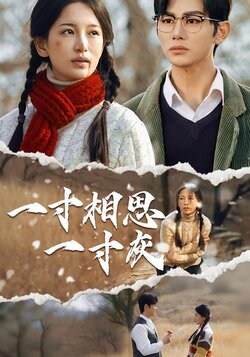 一寸相思一寸灰_枫叶短剧聚合网