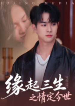 缘起三生之情定今世_枫叶短剧聚合网