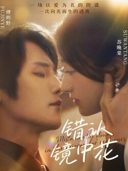 错认镜中花_枫叶短剧聚合网
