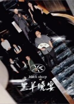 黑羊晚宴_枫叶短剧聚合网