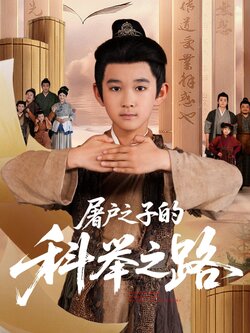 屠户之子的科举之路_枫叶短剧聚合网