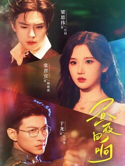 昼夜回响_枫叶短剧聚合网